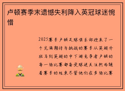 卢顿赛季末遗憾失利降入英冠球迷惋惜